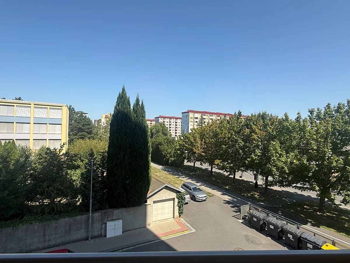 Fotka 11 z 12
